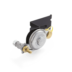 Gas Valve and Regulator Assembly