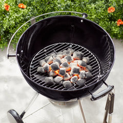 Charcoal Grate